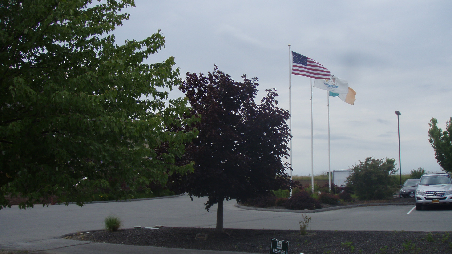 Golf Outing photograph 4 from 2014.