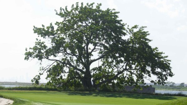 Golf Outing photograph 86 from 2021.