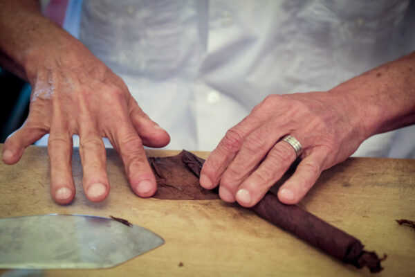 Timmy O'Connor Golf Outing photograph 5 from 2024.