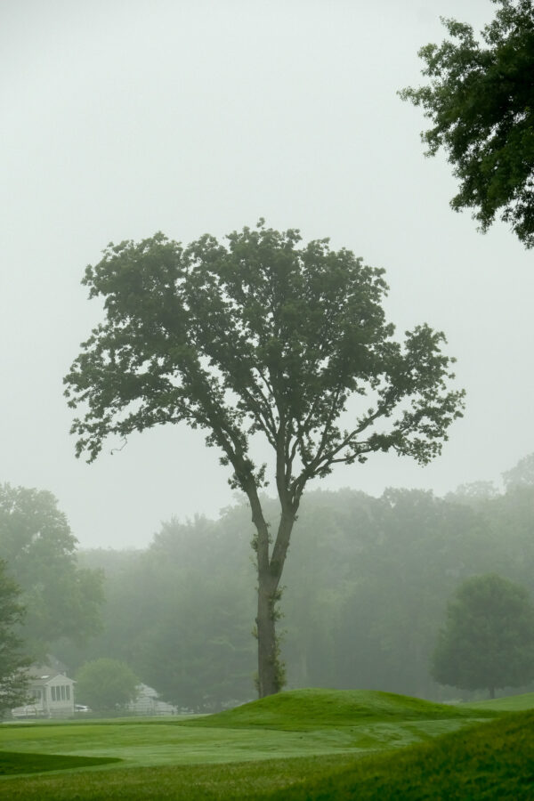 Timmy O'Connor Golf Outing photograph 99 from 2025.