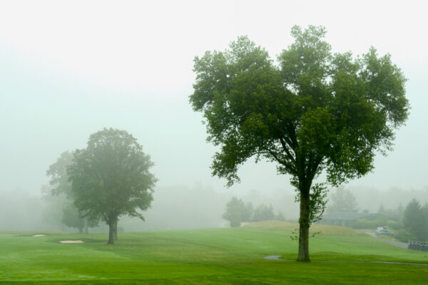 Timmy O'Connor Golf Outing photograph 168 from 2025.