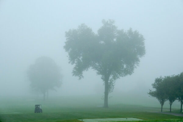 Timmy O'Connor Golf Outing photograph 256 from 2025.