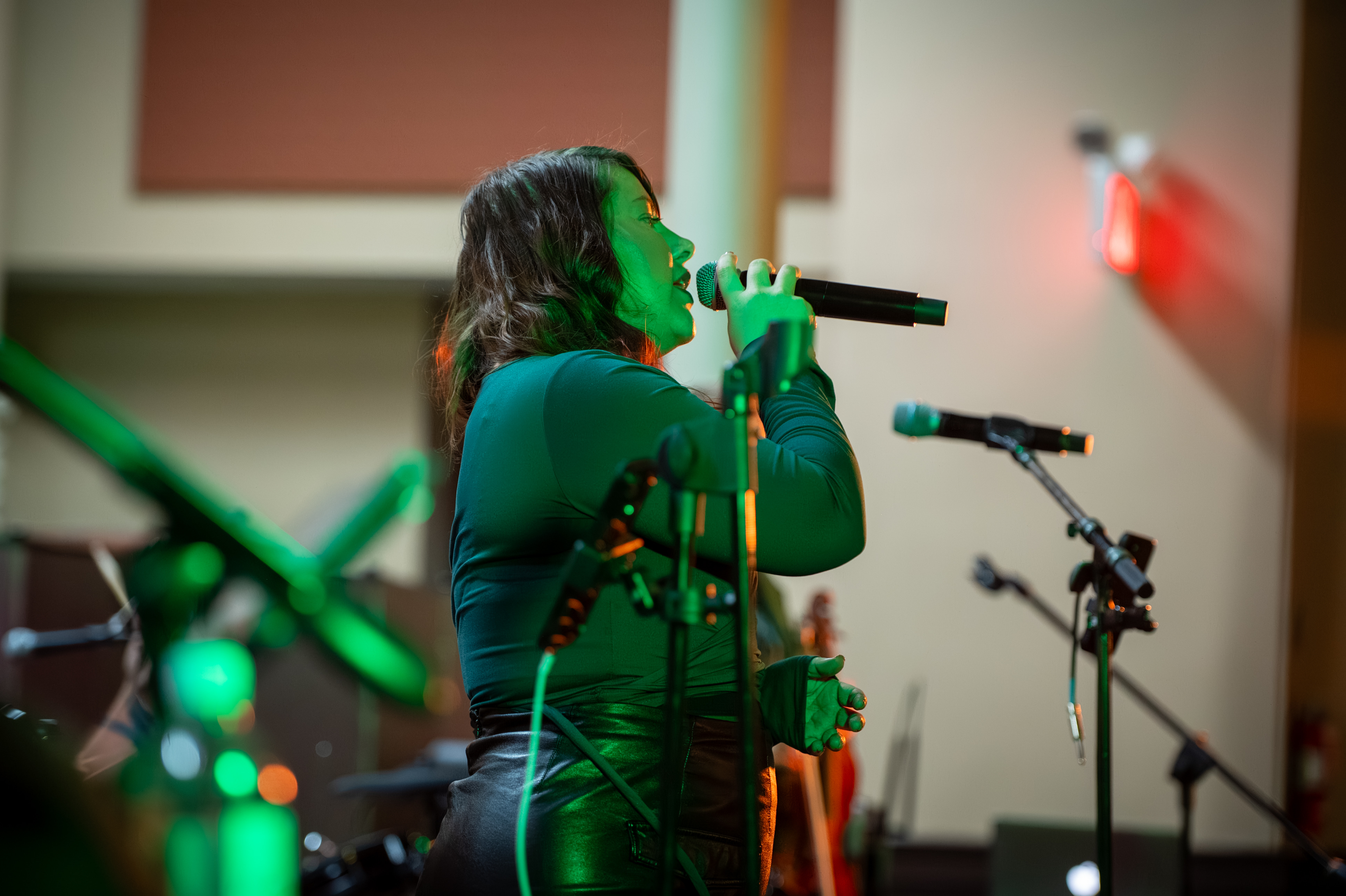 St. Patrick's Day photograph 168 from 2026.