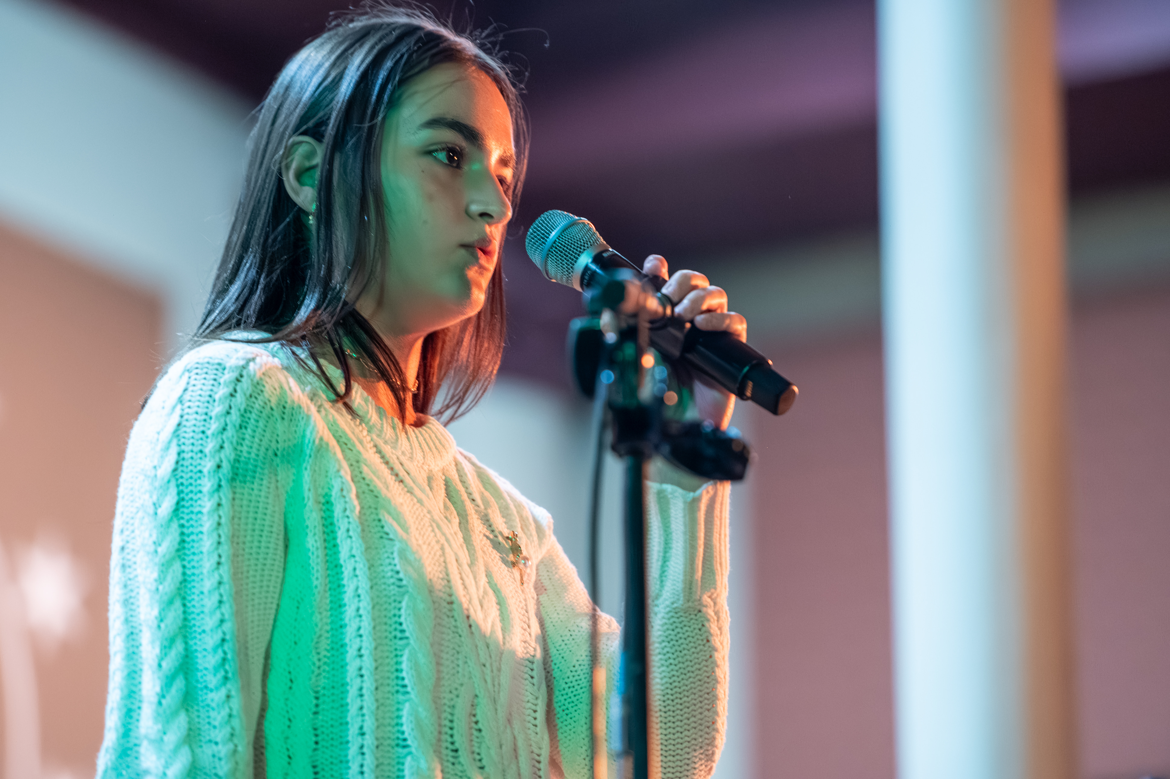 St. Patrick's Day photograph 324 from 2026.