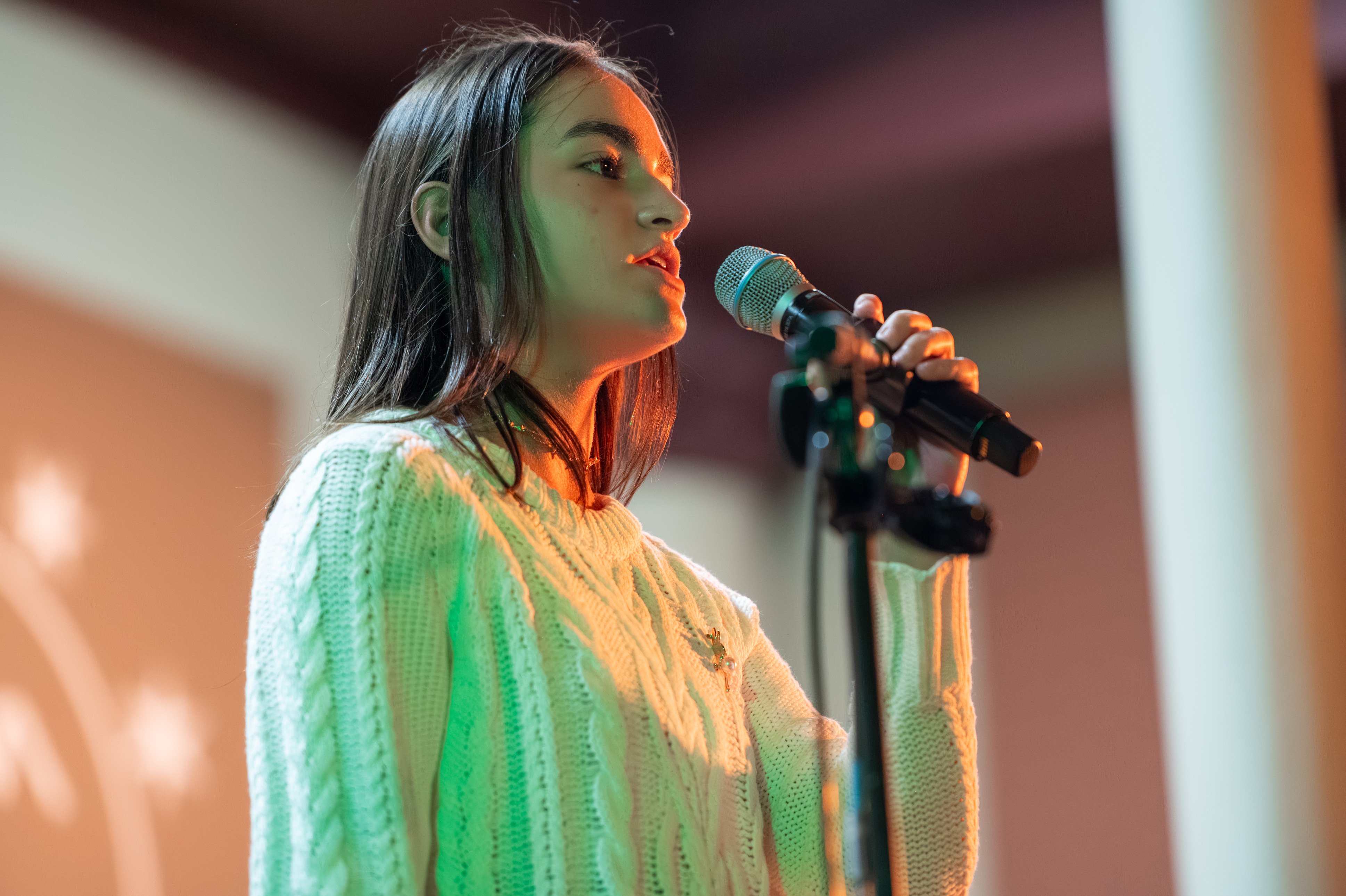 St. Patrick's Day photograph 325 from 2026.