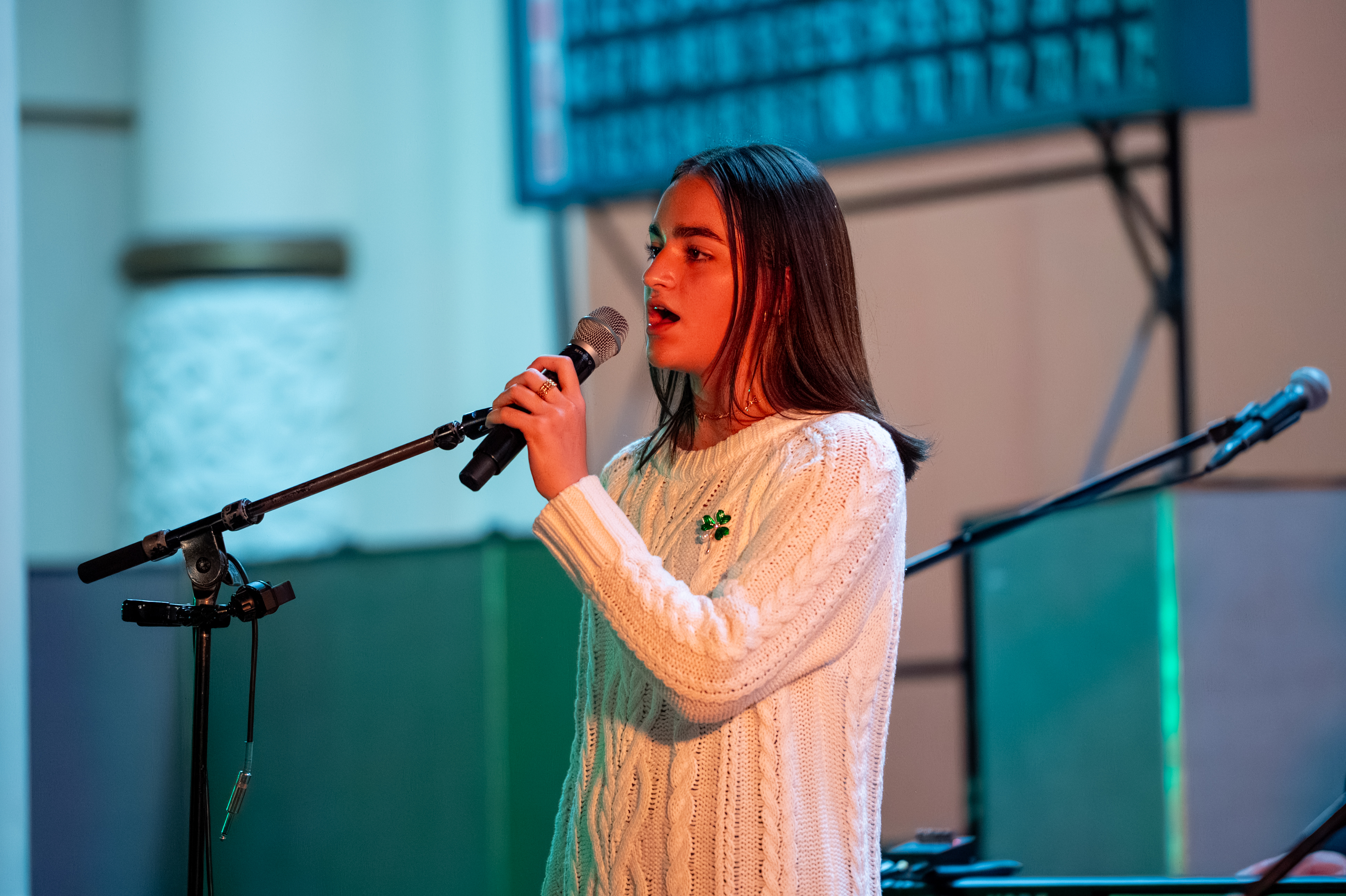 St. Patrick's Day photograph 328 from 2026.