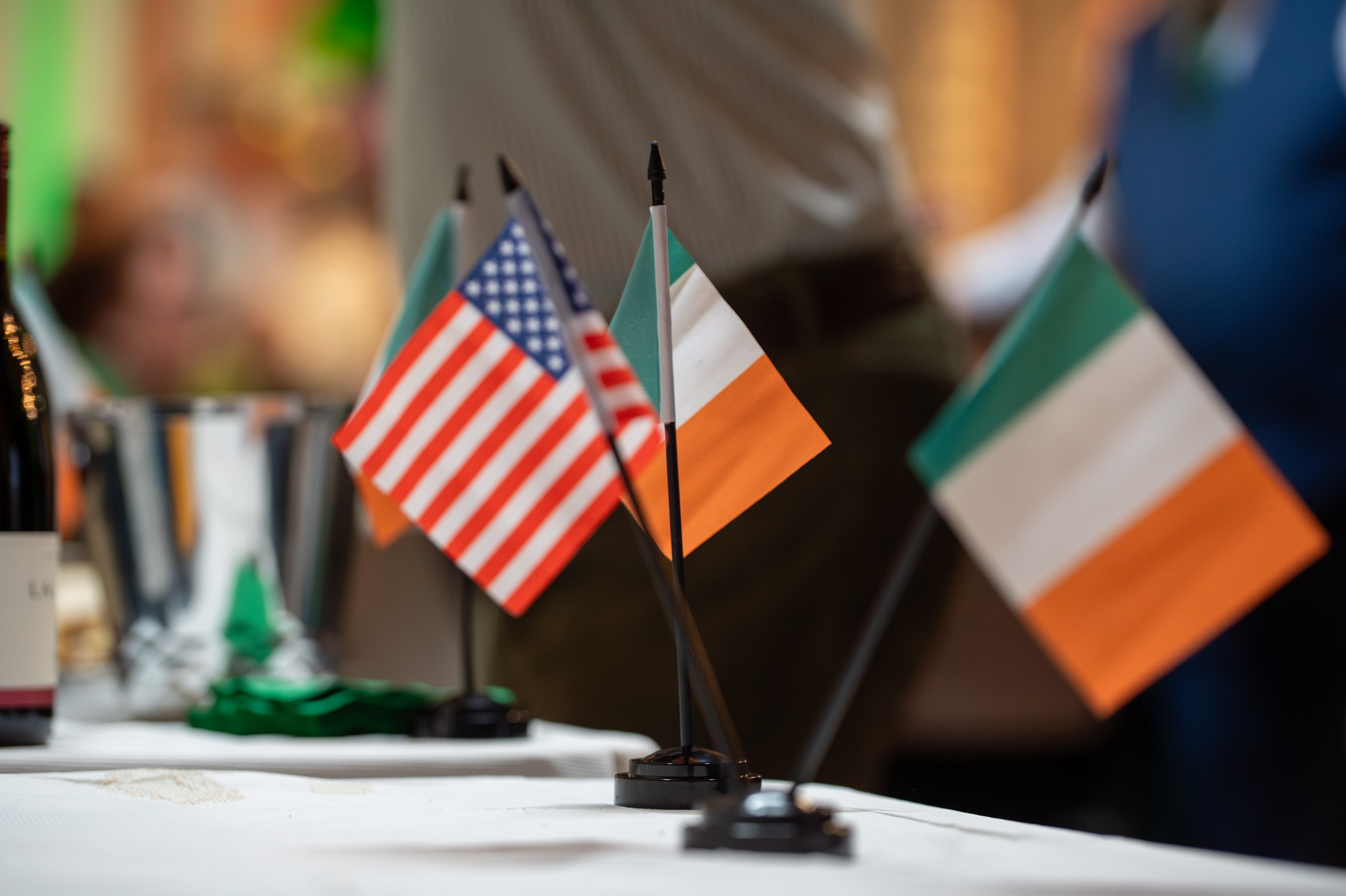 St. Patrick's Day photograph 8 from 2026.